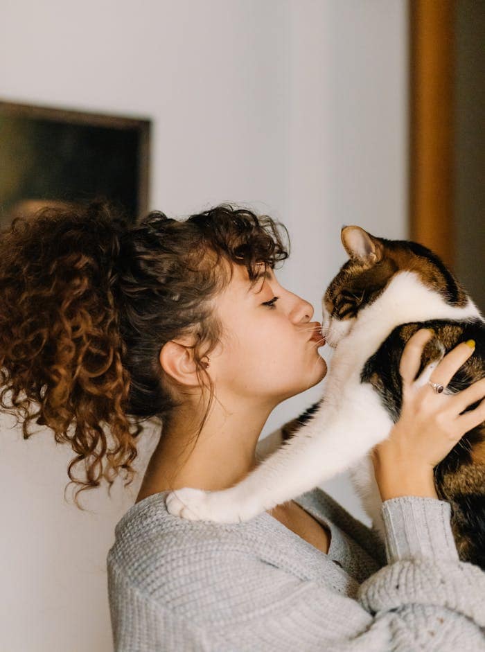 Spray Cat Behavior and How to Help Stray Cats 2 Young woman affectionately kissing her pet cat indoors, capturing a tender moment in İstanbul.
