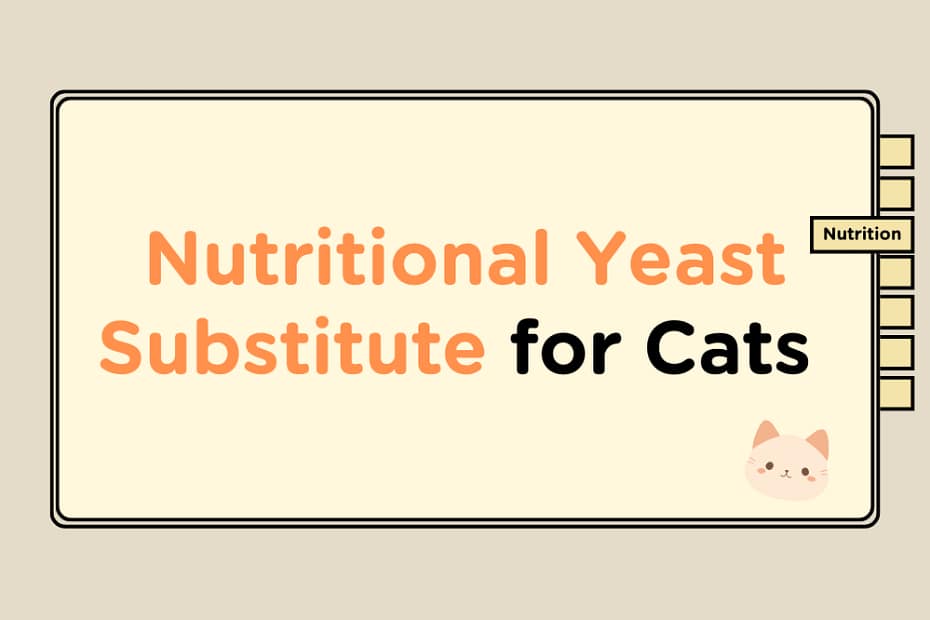 Nutritional-Yeast-substitute