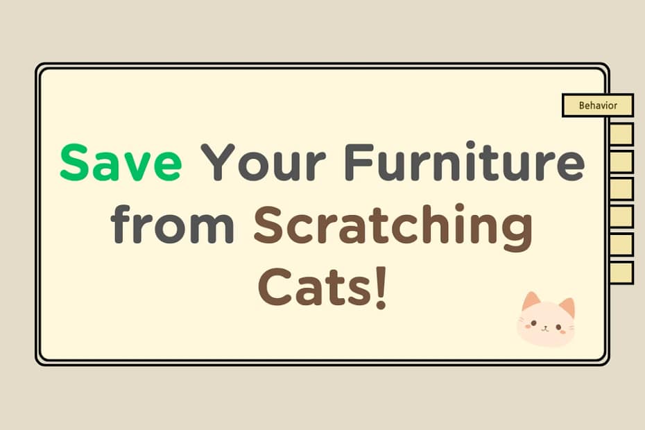 scratching cat