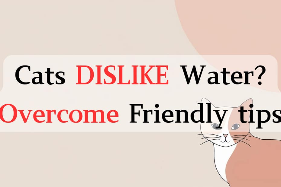 why do cats dislike water